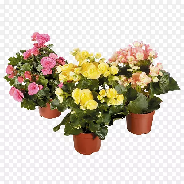 �����ӽ��������-������