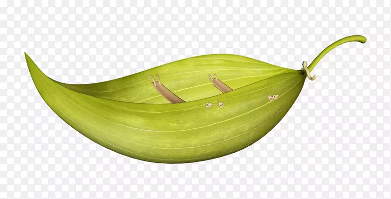 ˮ��-�ǹ�Ԫ��-������