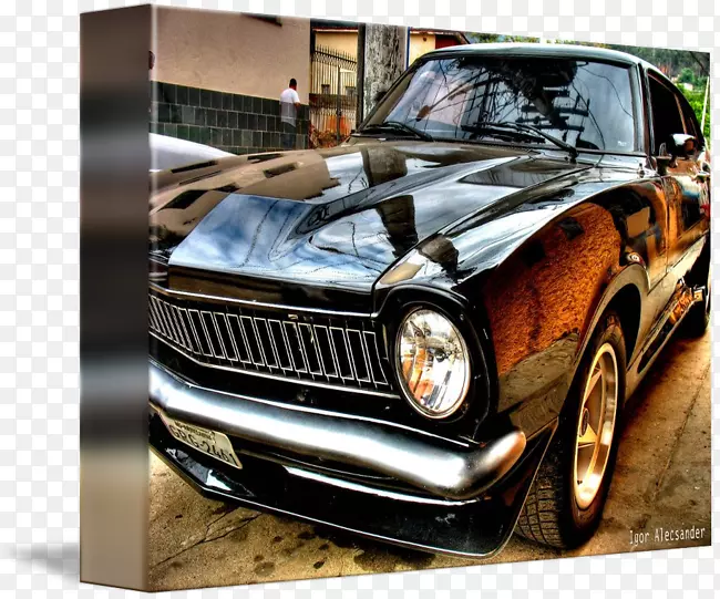 ����������˾-������