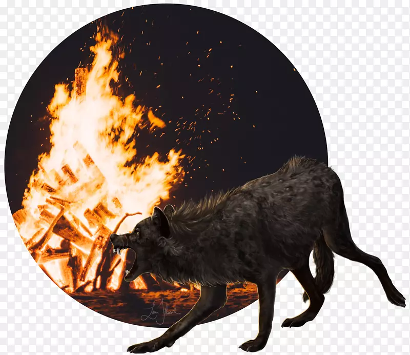 Youtubeɽ������������װ��ֽ-������