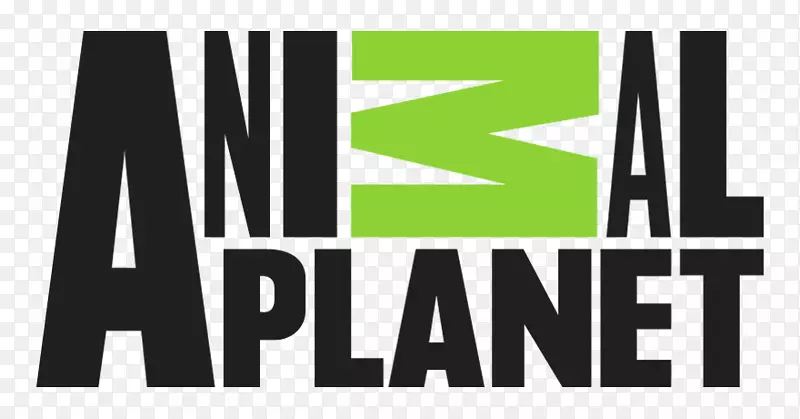 �����������Ƶ��è���ӽ�Ŀ-������