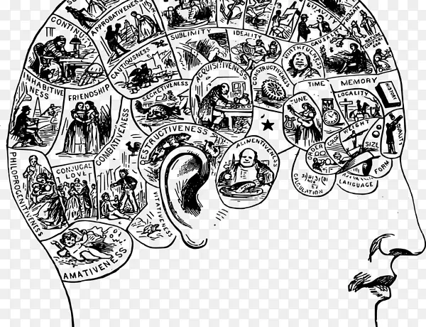 365����ǿ�����ķ�����С��ʿ���˶��������񾭿�ѧ��ʳ-��ҵ�Ļ�����-������