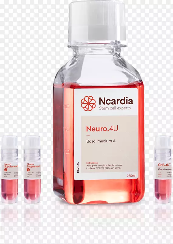 ��Ԫ�յ��Ķ��ܸ�ϸ������������ϵͳ-������ϵͳ-������