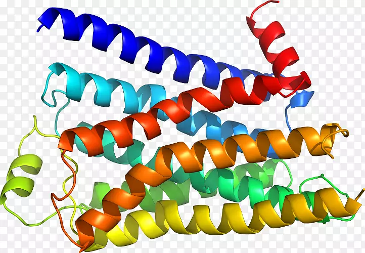 �����鱦���л����������-������