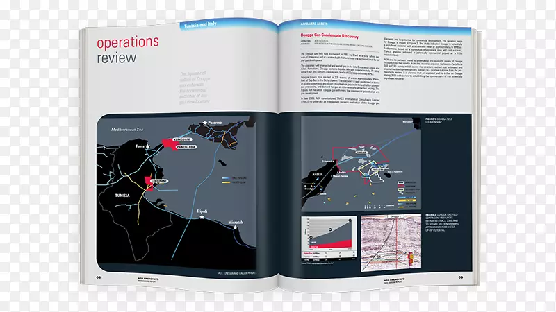 Ʒ�ƶ�ý���걨-������