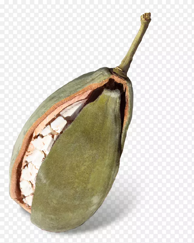 ��Ʒˮ��-boabb-������