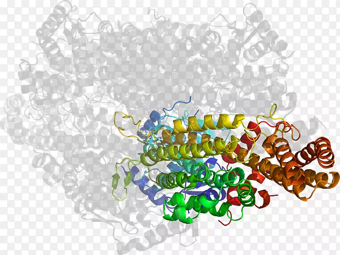 �����ֽ���Լ���������-������