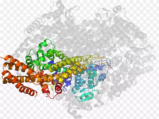 �鱦���μ��������-������