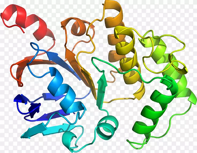 ���������л����߼�������-������