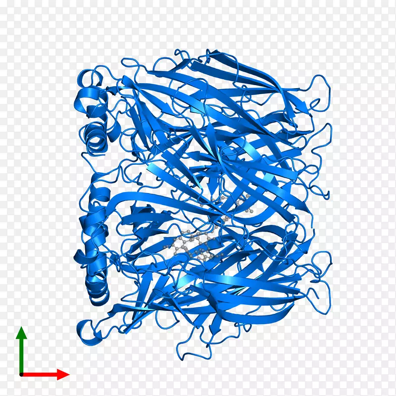 �ߵ������-��-������