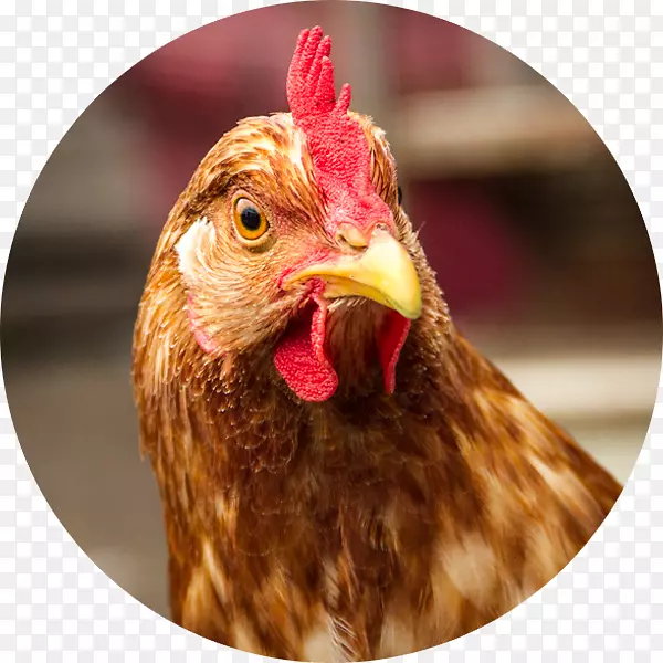 ��ʷʥ��������϶��������д���캣����˹��-������