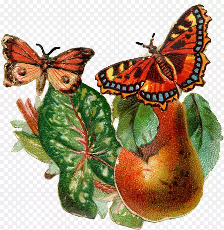 ������������-����-������