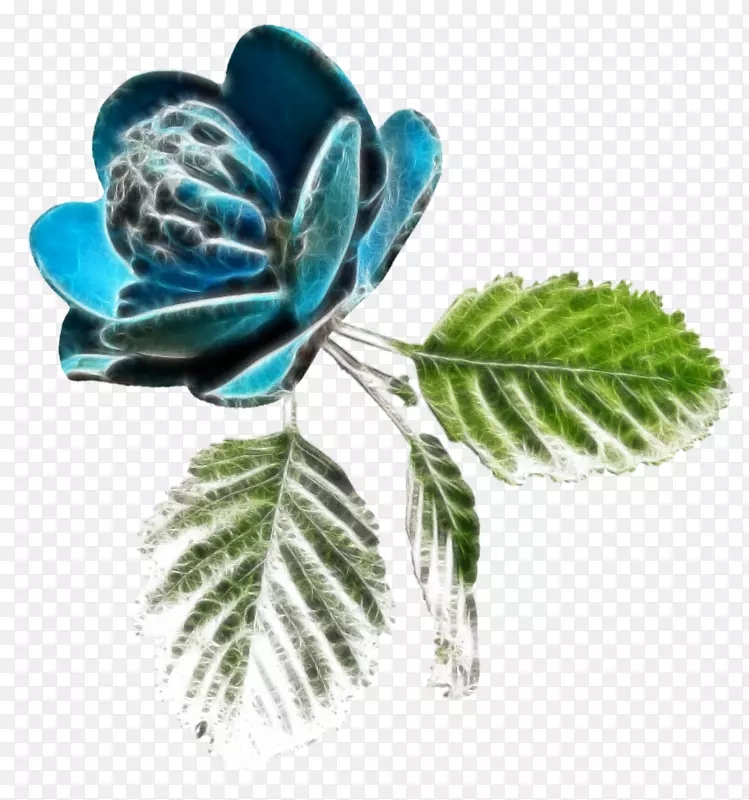 �����ֽ���ܲ���-����-������