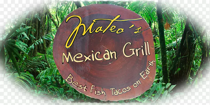 ����ѷ�ȴ����ֻ�԰ƴͼ��ѧ����-���-������