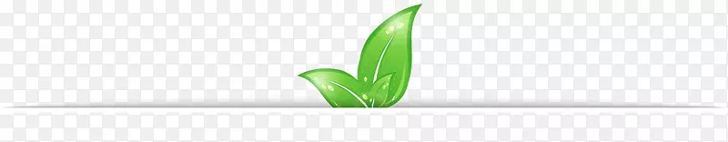 Ҷ�����ֽ��.�ر�˵�-������