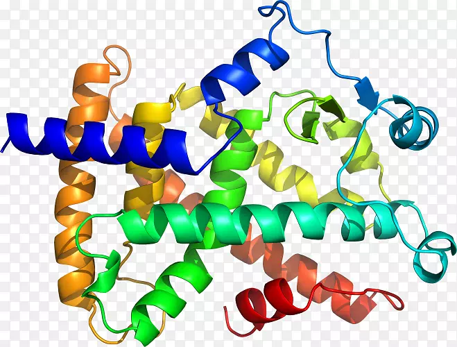 ���������л����߼�������-������