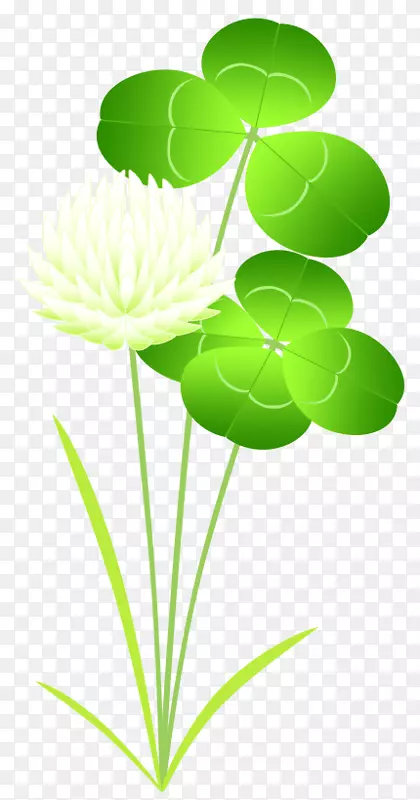 Ҷֲ�ﾥ����ֲ��.��������-������