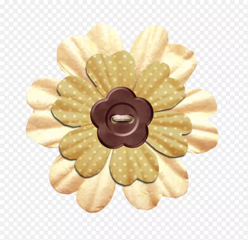 �����ŷ�ѧϰ-������-������