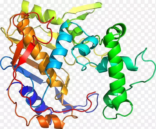 �ߵ������������-������