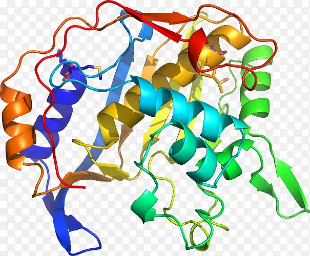 �ߵ������������-������