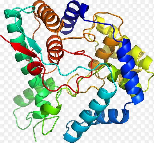 ���������л����߼�������-������