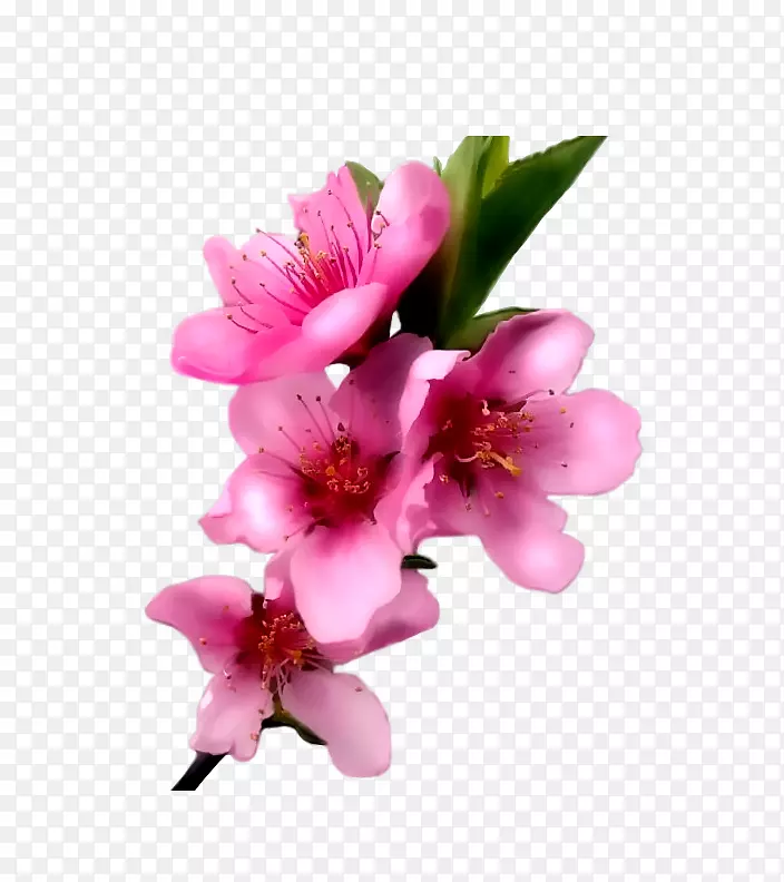 �л�����������-��-������