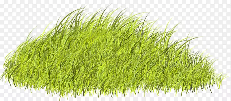 ֲ��2752(U0639u062fu062f)2753(U0639u062fu062f)2743(U0639u062fu062f)-�������̲�-������