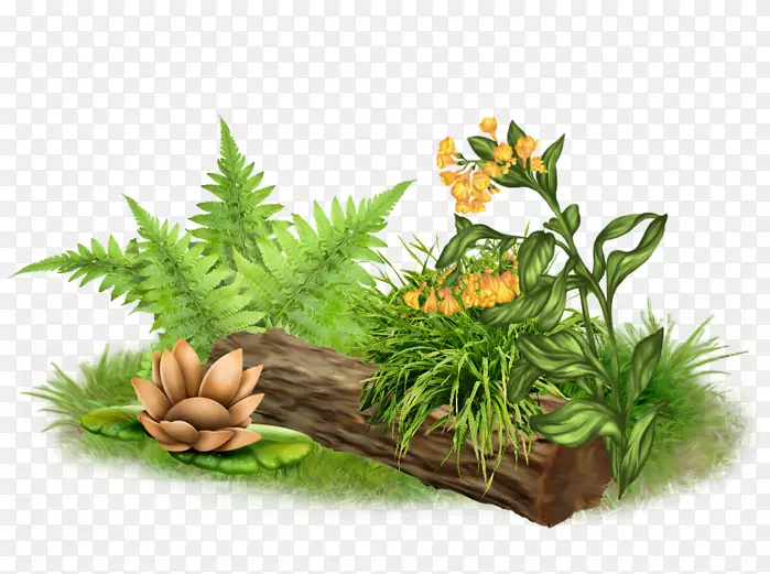 ���λ�ͼ����LiveInternet-tree-������