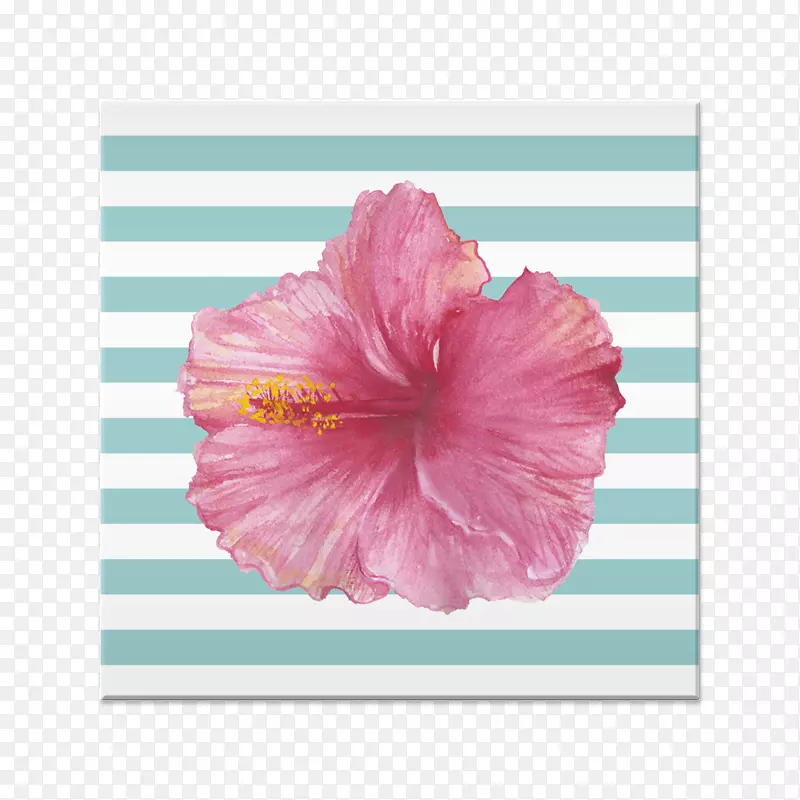 t������ֽ��ܽ�ز��ղ��ͻ�����-������