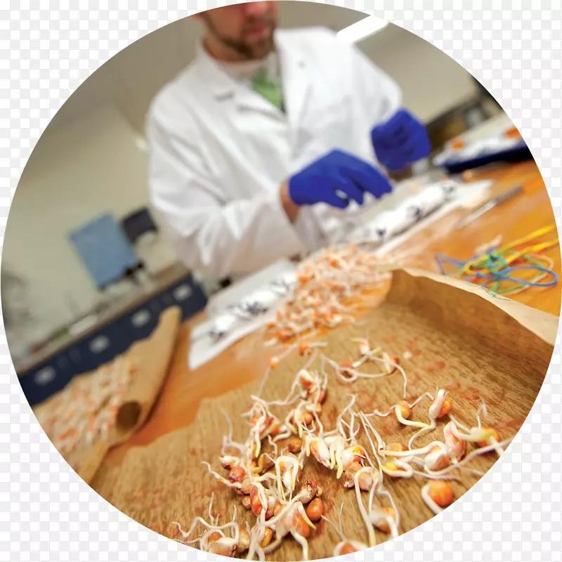 ��������䷽�Ŵ�ѧ����-������