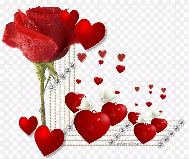 ���������ҹ��-��-������