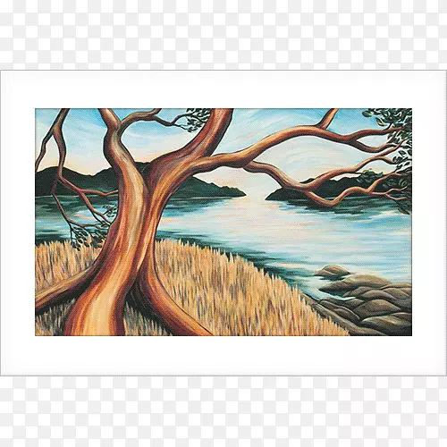 ����¹��-������