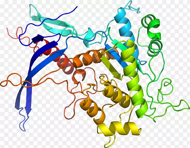 ���������л����߼�������-������