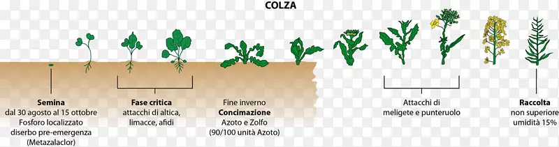 ֽ���߲�-������