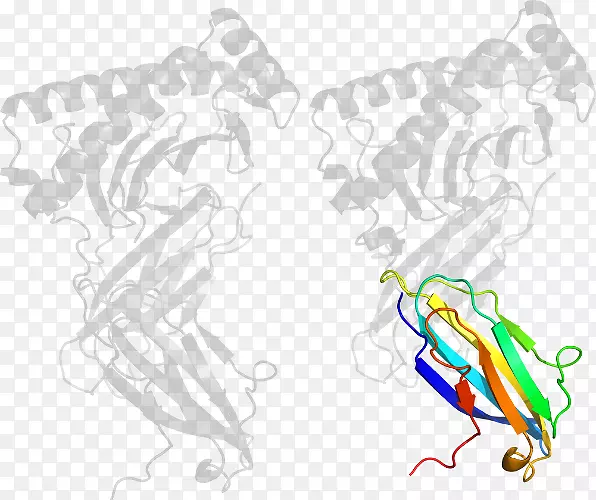 ƽ����Ƽ�����.���-������