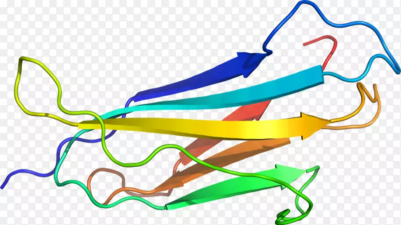 �ߵ������-��-������