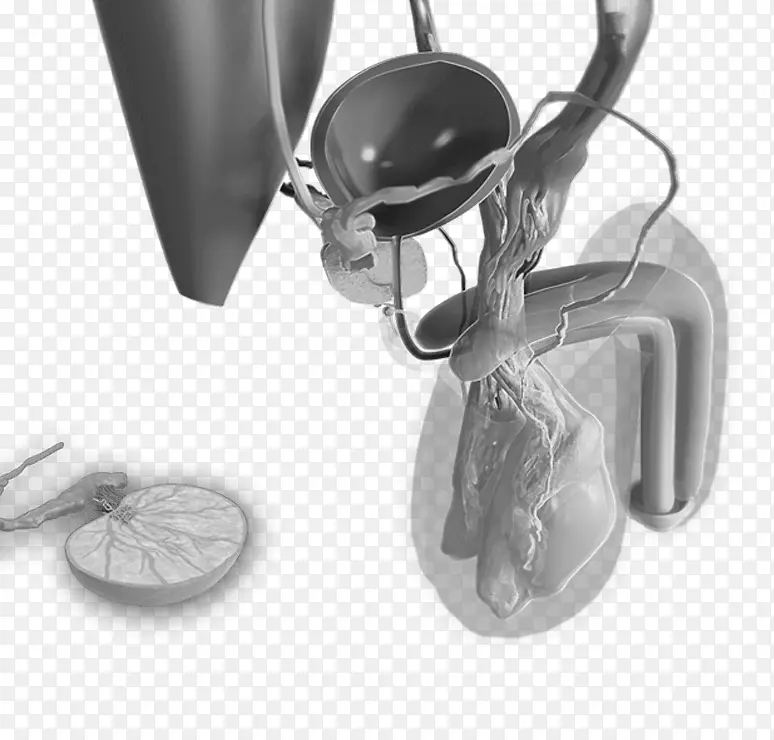 ��ɫ���-������