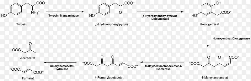 �Ұ���������ѭ����״�������ɰ�����3-O-�׻���ͽ���-������