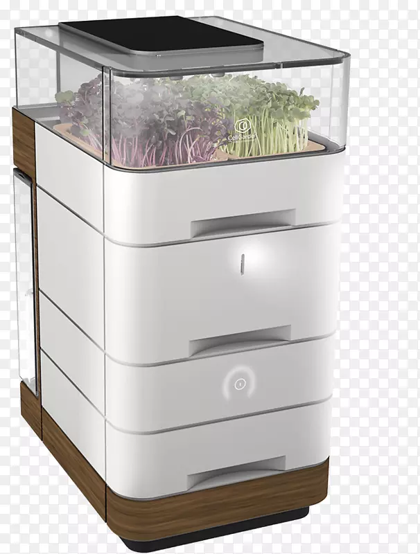 Ӫ������ʳƷ΢��ɫά����С���߻�԰Ԫ��-������