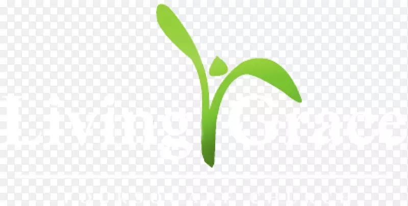 Ҷ���-Ҷ-������