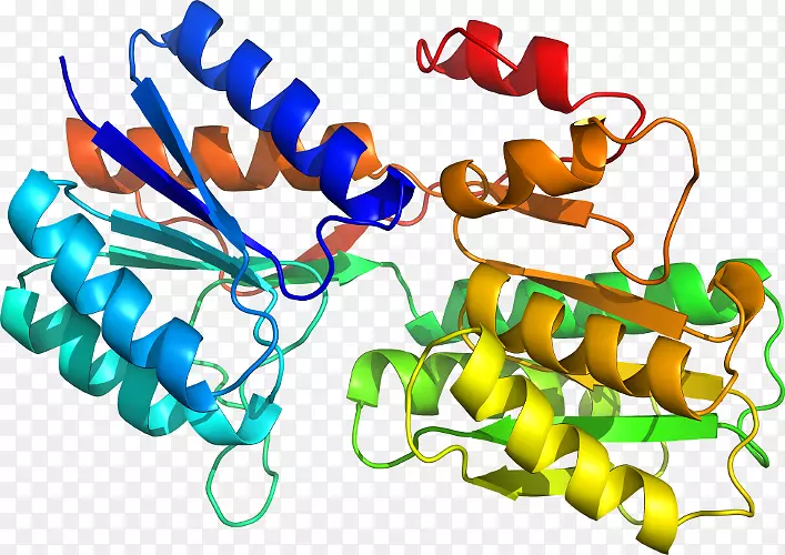 �����鱦���л����������-������