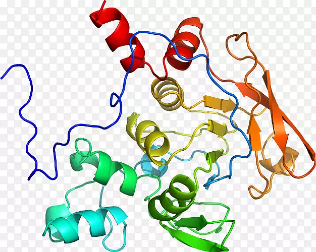 �ߵ������������-������