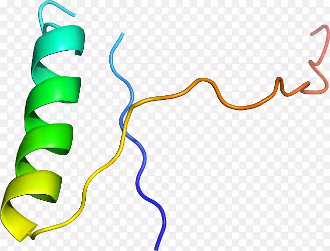 �ߵ������-��-������