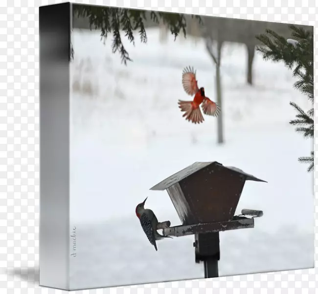 ���.ʵ����-������