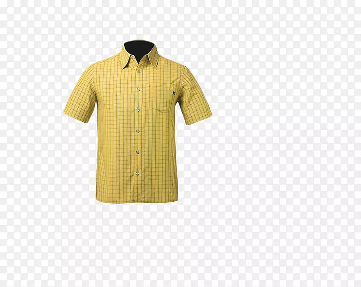 T���������ʶ������-������