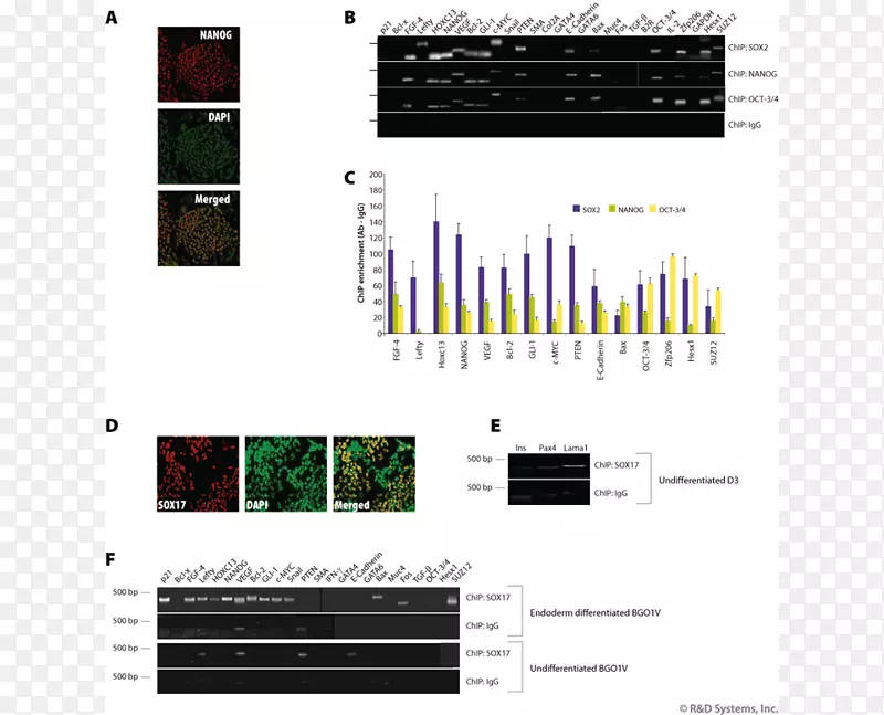 Ʒ�Ƽ���-����-������