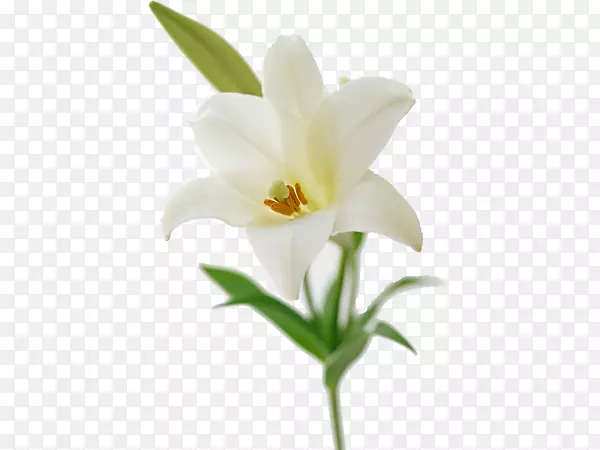 ����ڰٺϻ����ٺϻ�-������