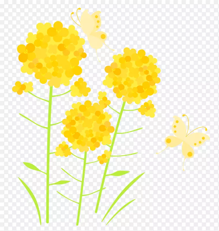 �����л�ֲ�ﾥ����ֲ�ﴺ��-������