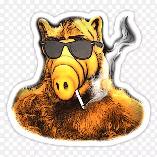 �����ʼ���ֽandroid facebook��ʹ-������