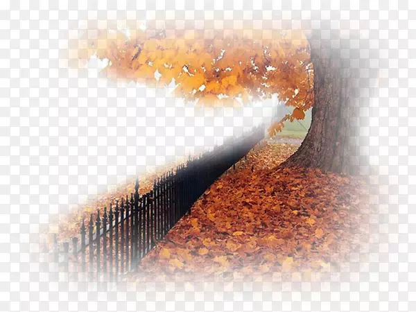 �ռǲ���LiveInternet������-������